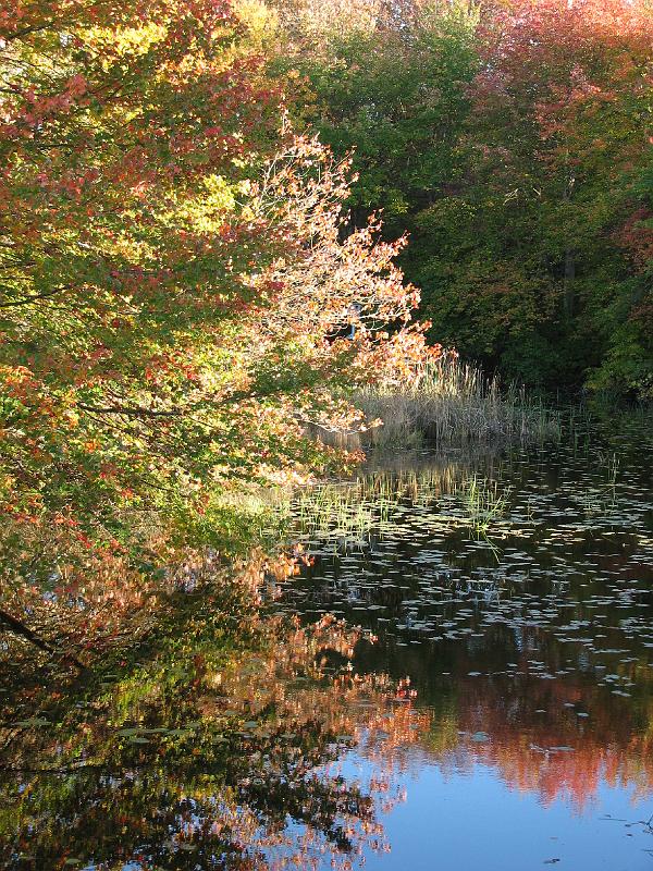2008-10-11_Tiverton_Trustom 103.jpg